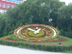 Flower Clock in A Park